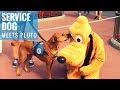 Oakley meets Pluto Oakley meets Pluto