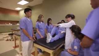 Learn About Our Physical Therapist Assistant Program | Concorde Career College