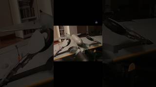 How do rc warbird landing gear works #rchobby #rcmodel #scalemodel #rcplane #rc #rcaircraft