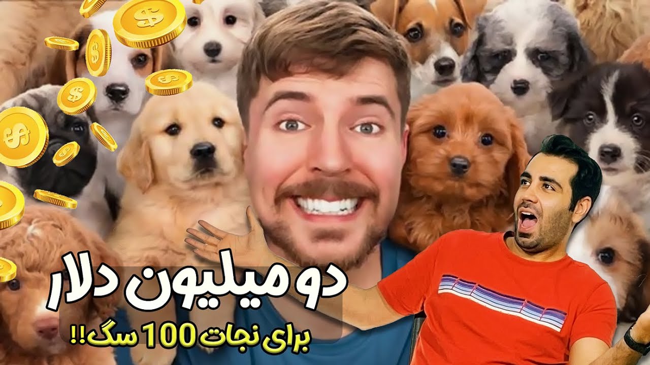 دو میلیون دلار برای نجات صد سگ بی سرپرست ترجمه ویدیوی #مستر_بیست #نجات_سگ #سگ_بی‌سرپرست