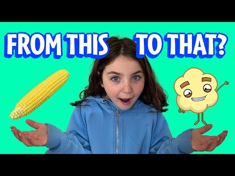 Get Ready to Pop! Where Does Popcorn Come From?