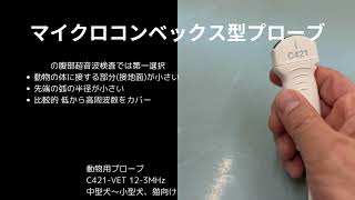 犬や猫の腹部超音波検査のプローブについて - YouTube