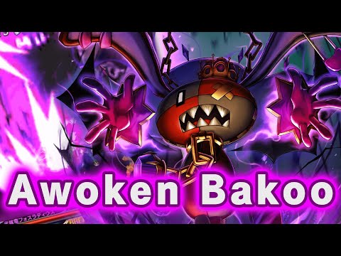 Bakoo S Unit Highlights