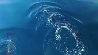 Discover Secret Devon – by boat part 3