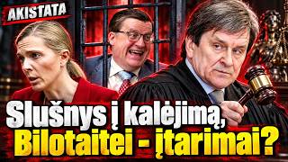 Yla lenda iš maišo: Tėvynės sąjungos 'geležiniams kariams' - įtarimai ir antrankiai?