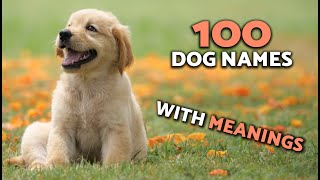 100 Meaningful DOG NAMES 🐕💖 Beautiful Ideas for Males and Females!