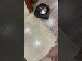 ルンバがマジでバカ。