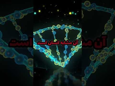 اولین موجود جاودانه که می تواند زمان را متوقف کند علم پیری طول عمر