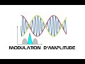 Cyrob : Modulation d'amplitude, what else ?