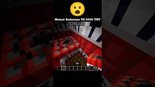 Wait for end #minecraft #viralshots #shotsfeed