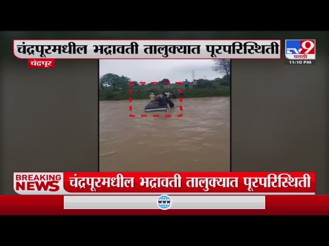 Chandrapur मधील भद्रावती तालुक्यात पुरपरिस्थिती-tv9