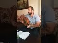 يلي بدالك بصوت الفنان وسام علي