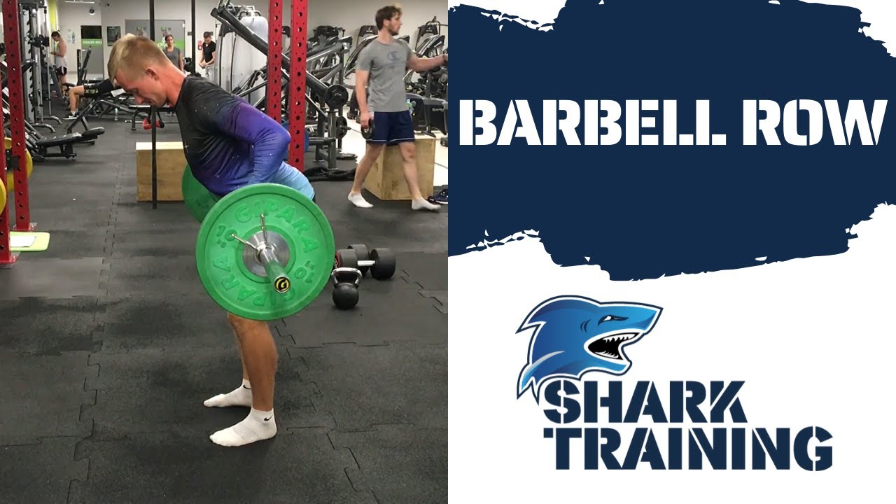 Shark Training przygotowanie motoryczne BARBELL ROW WIOSŁOWANIE