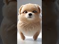 Пёсик улетел… но обещал вернуться 🐶🎈
