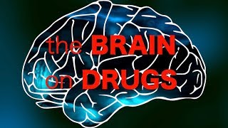 What Happens to your Brain on DRUGS?