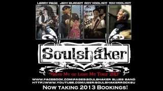 SoulShaker - ZZ TOP  - Beer Drinkers and Hell Raisers/ Tush / Gimme All Your Lovin&#39; Mash Up!