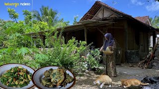 membuat bakwan terong bayam hasil petik dari depan dapur,orak arik telur kacang panjang,masakan desa