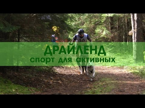 Драйленд (каникросс, байкджоринг, скутеринг, картинг)