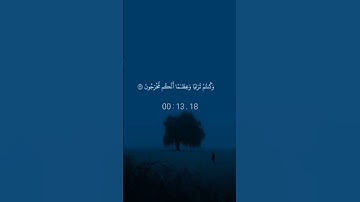 سورة المؤمنون #القرآن_الكريم #شارك_الأجر  #isabirtv#quran#ياسر_الدوسري
