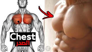 أقوى تمارين الصدر لتكبير الصدر وتعريضه  - Extreme chest workout
