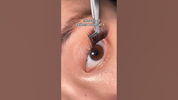 Cluster lashes | at school lashes | eyelash extensions | fyp | shorts | follow me | diy lashes