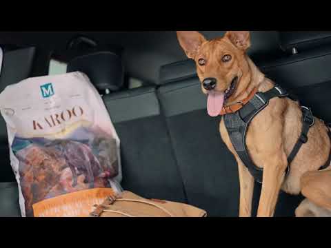 Buy Karoo & Win a Toyota Prado! - video from Montego