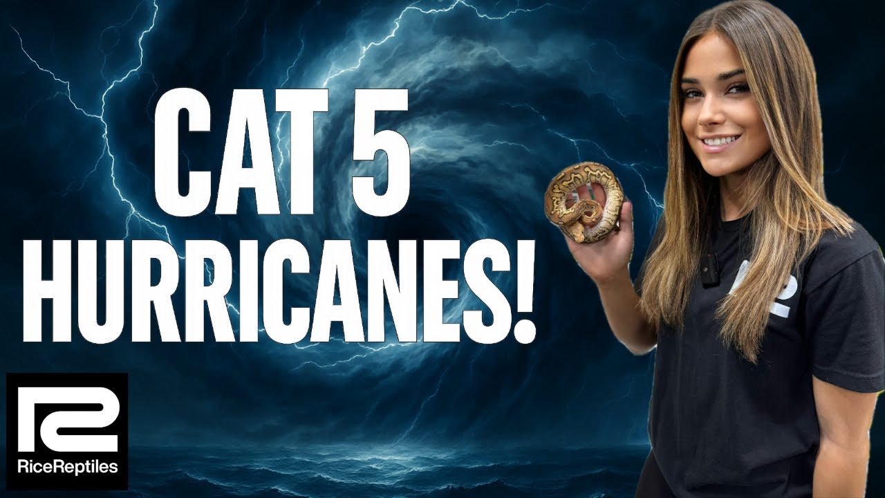 Ураганы 5 категории! 🔥🌀