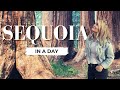 Alone... in Sequoia National Park &amp; 5 RV Scenic Drives