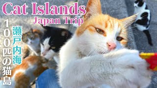 Too Cute!!Japan's Cat Island. More cats than people! Sanagi Island and Manabe Island.| 猫島/佐栁島、真鍋島