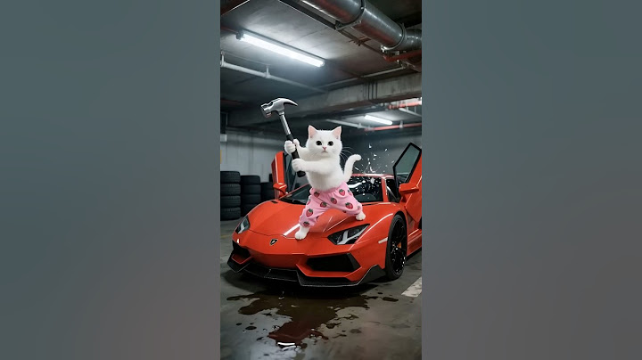 He was punished for dreaming, but used his invention to save Cat Dad — and became rich overnight!