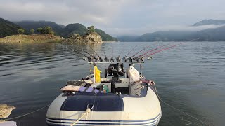 Download Lagu 2025.07.22 Chungjuho 7th Eel Fishing MP3 Download Lagu 2025.07.22 Chungjuho 7th Eel Fishing MP3