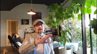 驻大阪总领事薛剑要“斩首”日本首相：从中共官制分析他的动机，就一目了然；王家卫被举报反党言论：影视圈生态链揭秘｜古二｜繁花｜陈道明｜