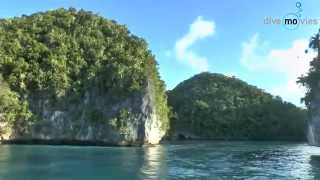 Palau Rock Islands und Jellyfish Lake by Dive Movies 1,726 views 9 years ago 4 minutes, 40 seconds