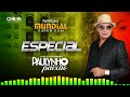 Set especial paulynho paixo reggae remix