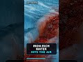 This Antarctic Waterfall Looks Like Blood #Shorts