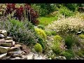 Mój ogród (Beautiful garden)