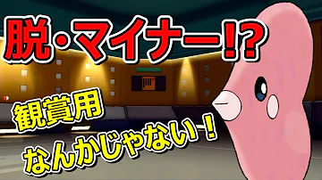 ポケモンbdsp 22年を占うおみくじ型ドダイトスの先制の爪運試しでバグレベルの結末にwww ダイパリメイク対戦 Mp3 ポケモンbdsp 22年を占うおみくじ型ドダイトスの先制の爪運試しでバグレベルの結末にwww ダイパリメイク対戦 Mp3