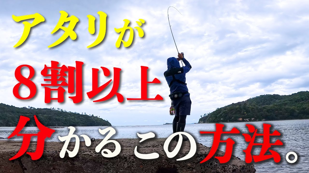 【エギング】アオリイカのアタリは難しい？実は意外と簡単に当たりが取れる4つのコツをご紹介！