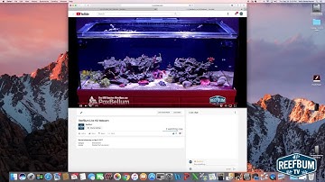 How To Live Stream a Webcam to YouTube