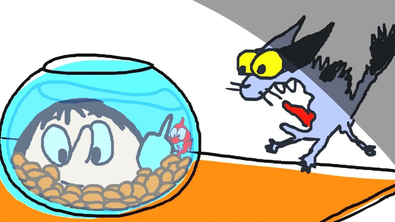 Le canular de trop | Les blagues de Toto | 25' Compilation | Toto