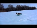 Welsh Corgi Cardigan 28 - ACHILLES Z IREXU „Jeremi" の動画、YouTube動画。