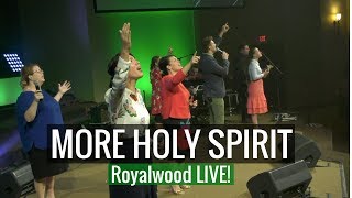 More Holy Spirit // Royalwood LIVE