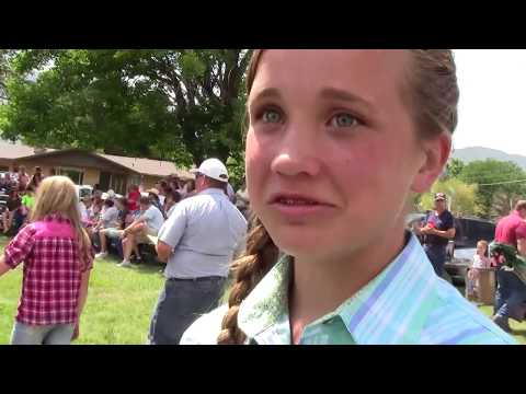Sheep Count – The Story of Sheep in Central Utah
