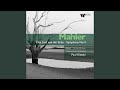 Miniature de la vidéo de la chanson Das Lied Von Der Erde: Ii. Der Einsame Im Herbst