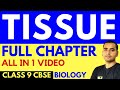 TISSUE (FULL CHAPTER) | CLASS 9 CBSE