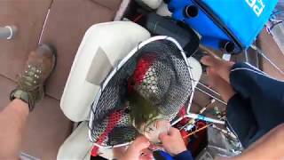 Swartswood Lake 07/15/2018: Two Big Bass Over 4 1/2lbs screenshot 4