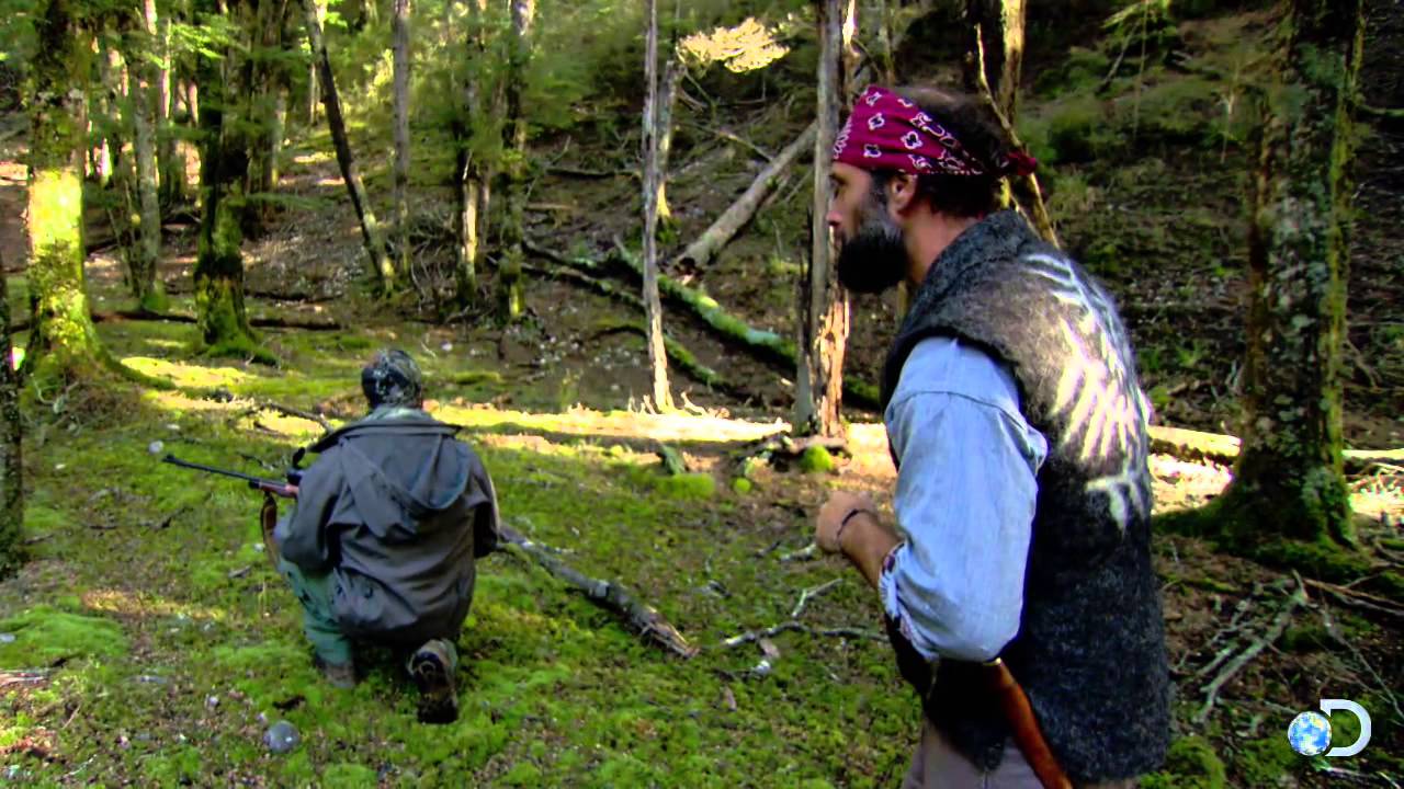 Stag Mateing Ritual Matt Graham's Stag Mating Call | Dual Survival - YouTube