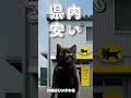 クロネコヤマトは...県内、安い🎵