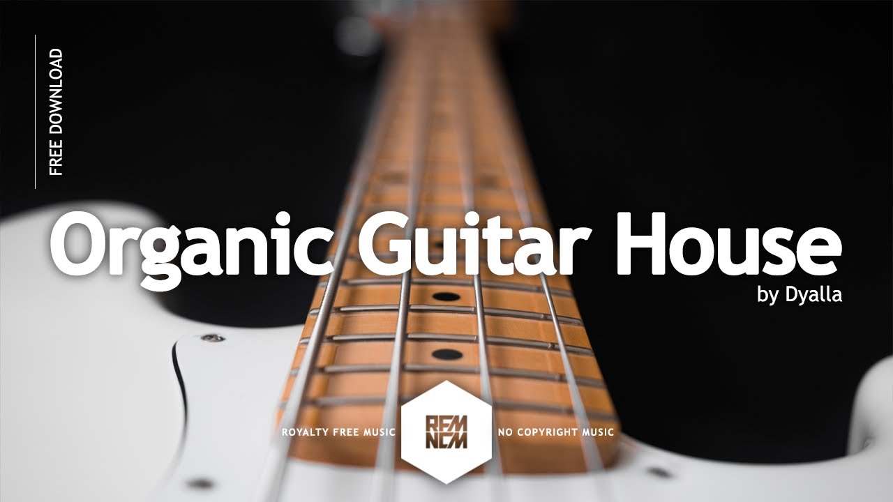 Organic Guitar House Dyalla Royalty Free Music No Copyright