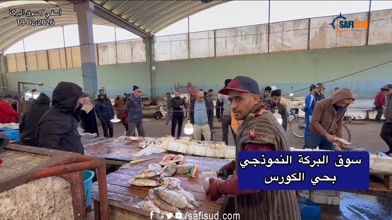 تنقية الحوت بسهولة واحترافية ..مهنة يكثر الطلب عليها مع الإقبال على الحوت في رمضان 